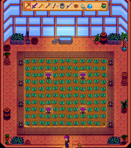 best greenhouse layout stardew valley