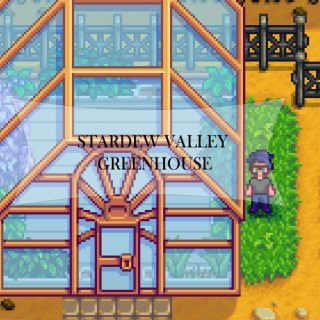 stardew valley greenhouse