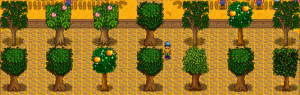 Fruit trees