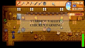 stardew valley chicken farming guide