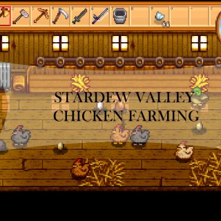 stardew valley chicken farming guide