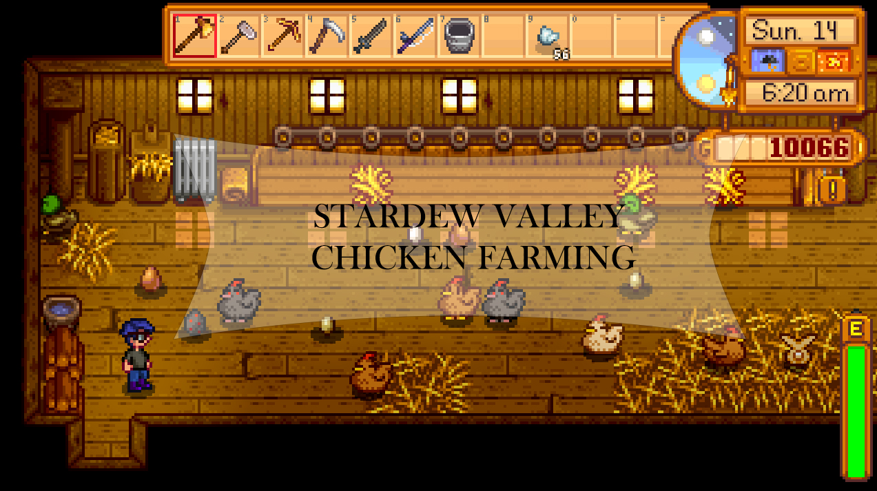 Chicken Coop Incubator Stardew Valley - Images Chicken 