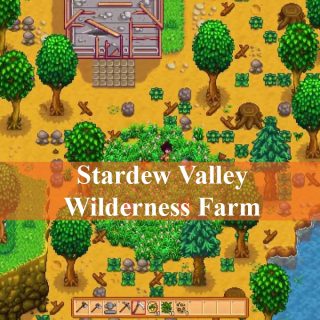 Stardew Valley Wilderness Farm