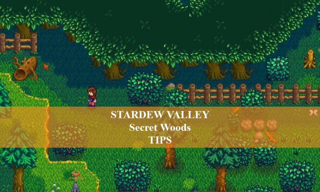 Stardew valley тайный лес