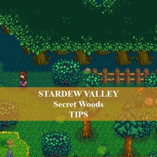 stardew valley secret woods